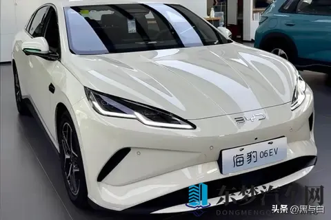 深度推算：比亚迪海豹06Ev成本7万，卖11万，经销商亏本的原因！-1