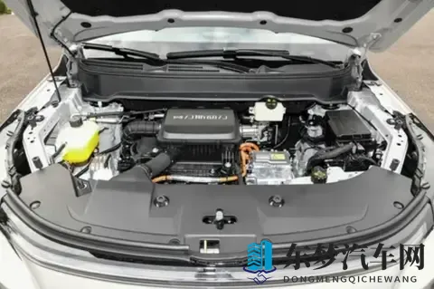 当“精打细算”奶爸遇上称职搭档：蓝电E5 PLUS如何打动我们全家？-3