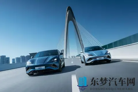 丢掉中国第一！比亚迪疲态显现、快装不下去了？-3