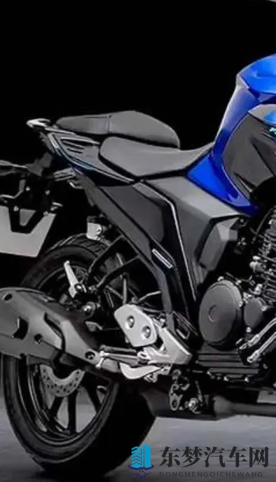 雅马哈飞致250复出 拼的不是马力 是省油能走天下的底气-1