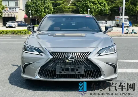 南宁二手车市场里的那辆“低调老大哥”-1