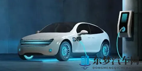 插混车主吐槽：亲身经历证明，网上那些传言全是真的-1