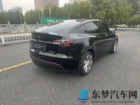 17万不到，圆你特斯拉梦！21款Model Y代步通勤真香-3
