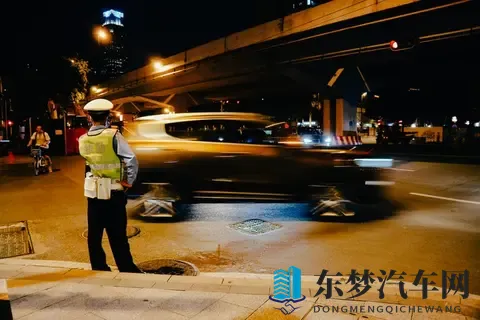 婷婷丁香花：美丽女子如丁香，芬芳飘逸映晚霞-3