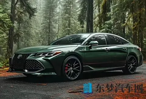 丰田亚洲龙：家用商用都靠谱，省心省油的中型车选择-2