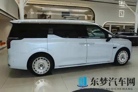 宜商宜家的极氪009，为什么成为越来越多家庭的出行伙伴？-1