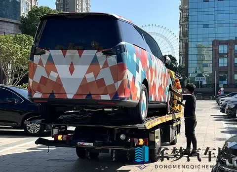 杭州湾埃尔法？疑似吉利新款MPV谍照曝光-1