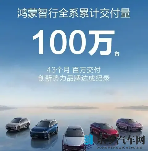 第1名=2-10名销量总和？10月新能源汽车销量相差太大-3