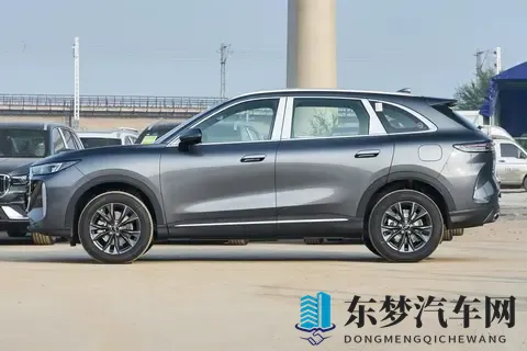 虎_豹两套前脸，尺寸轴距加长，全新瑞虎8预售，你买不买？-2