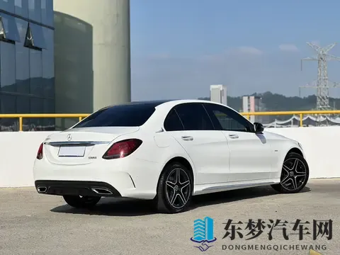 网站国产：新能源汽车崛起，国产汽车品牌大放异彩-1