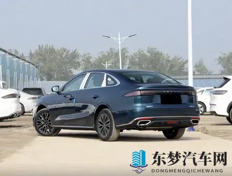 男人互做jiji秘 无打码网站：揭秘男性私密互动，无码网站曝光-1