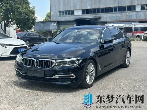 20款宝马5系：10万公里，香槟色外观，18万多开回家！-2