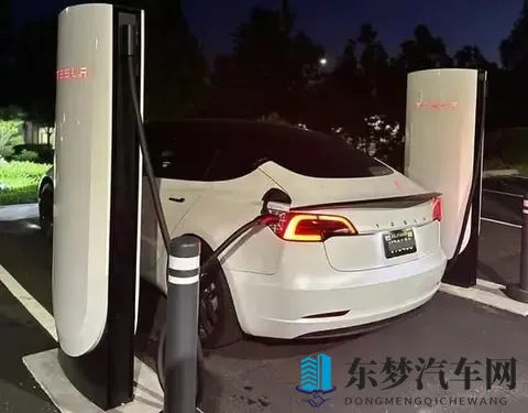 实测电耗不如小鹏!特斯拉的“省电神话”,被攻破了?-3