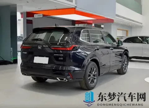 蘑菇成品视频红色logo：红色标志映衬下的蘑菇成品展示视频