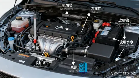 霜冻与低温的终极考验：北方车主必看的冬季用车清单-1