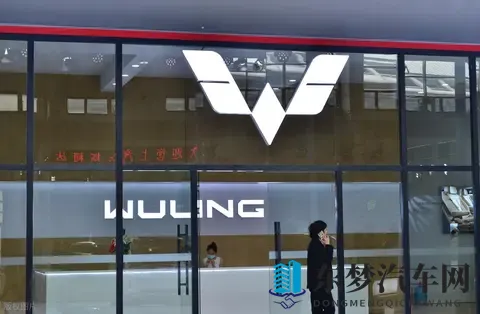 宏光 MINIEV 卖疯了，网友说：这是消费降级了，真的是这样吗？-2