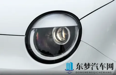 欧美性护士：汽车服务新潮流，专业护理引领变革-2