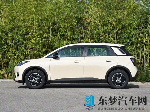 亲民版“海豚”上市！租电售价499万，续航达500Km，还支持换电-2