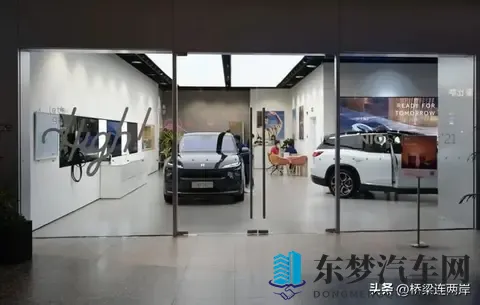 中国车欧洲斩获74%份额，为何德国市场仅29%？-1