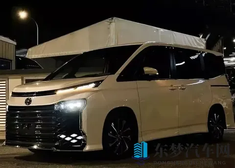 丰田杀疯了!埃尔法入门版跌破24万,3米轴距+8座太香了-2