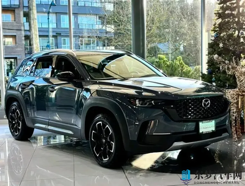 向日葵草莓丝瓜樱桃秋葵绿巨人：汽车新科技盘点：绿色出行、智能驾驶，未来已来-2