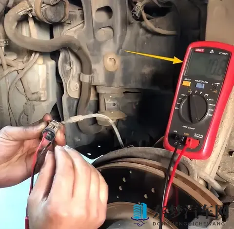 特大黑人娇小亚洲女：女性驾驶新趋势：爱车选择与厂商关怀揭秘-2