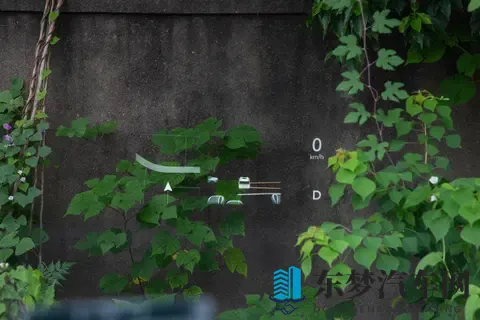 顶配4299万！26款岚图梦想家  540度全景影像标配，魔毯空悬是亮点-3