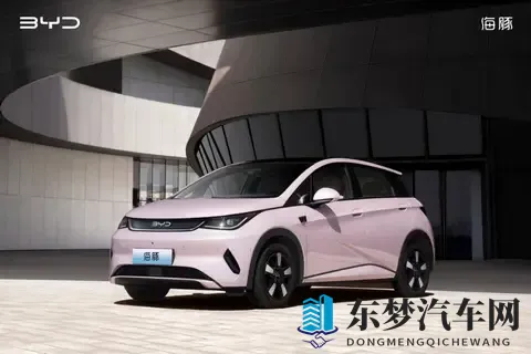 10万级，高阶智驾+冰箱，颜值还很高｜海豚如何选？-1