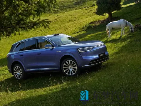 名字好听的8个汽车品牌，长安、问界、吉利、奇瑞在榜-1