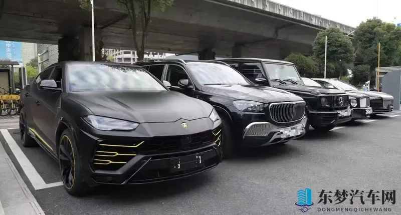 从品牌崇拜到技术认同:岚图泰山如何撬动顶级豪车用户?-1