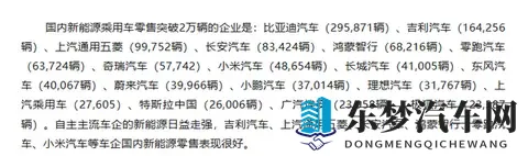 国内有17家车企新能源月销突破2万辆 鸿蒙和小米在列-1