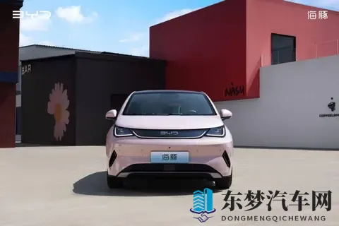 10万级，高阶智驾+冰箱，颜值还很高｜海豚如何选？-2