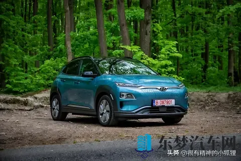 澳大利亚最好的电动汽车-2