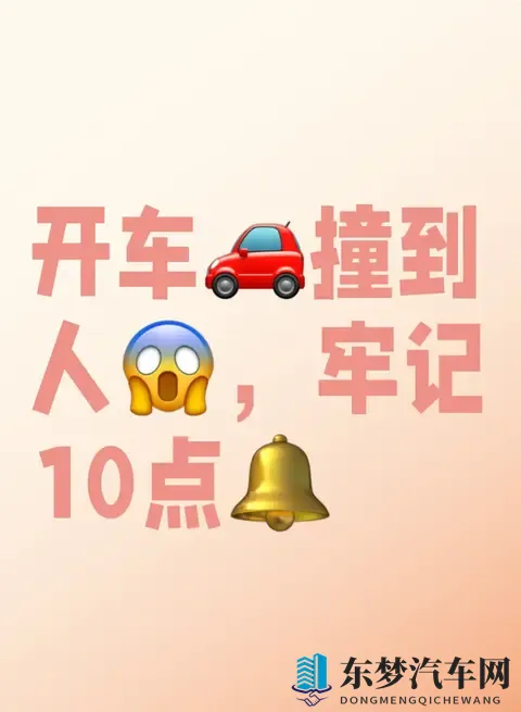 开车撞到人,牢记10点-1