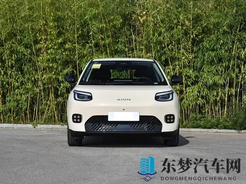 亲民版“海豚”上市！租电售价499万，续航达500Km，还支持换电-1