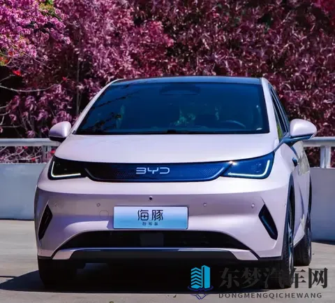 海豚优缺点大实话：买菜接娃超顺手，长途出行就露怯-1