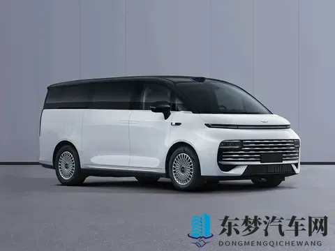 杭州湾埃尔法？疑似吉利新款MPV谍照曝光-2