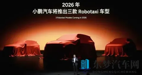 极端 针 拳头 极端 疼痛 改造：汽车改装艺术：挑战与成就的极限之旅