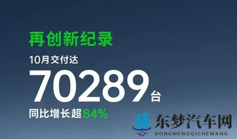 第1名=2-10名销量总和？10月新能源汽车销量相差太大-2