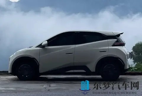 海豚优缺点大实话：买菜接娃超顺手，长途出行就露怯