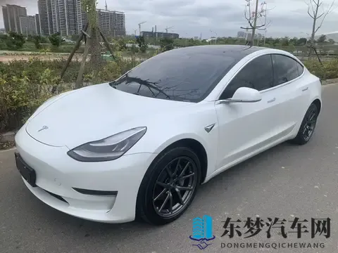 几个W开走？20年特斯拉Model3，5万公里长续航，告别里程焦虑-3