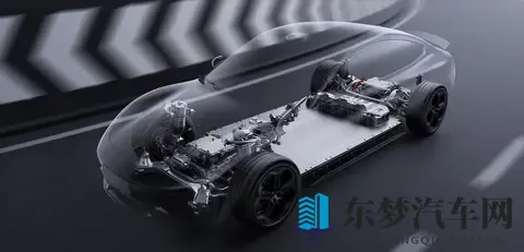 “绿化带战神”背后真相：为何频频冲草坪？专业拆解四大核心原因-1