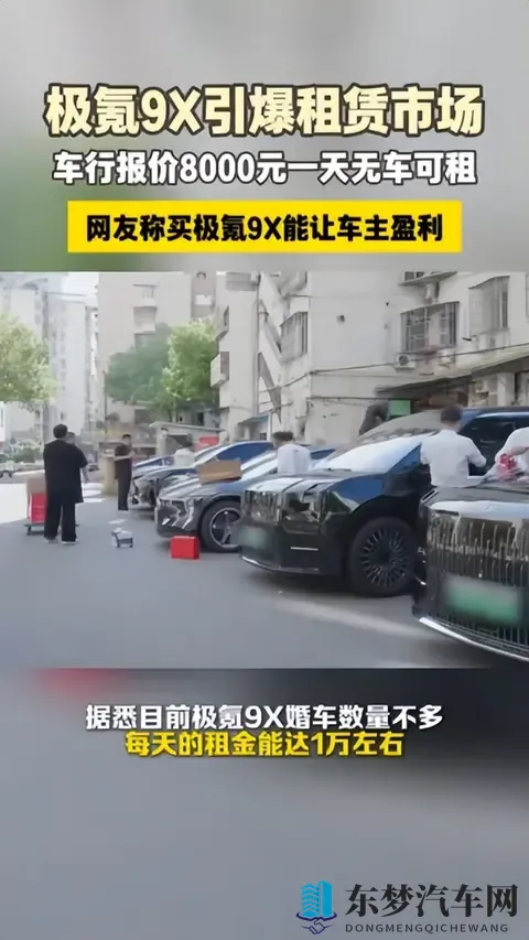 闲鱼订单溢价25万,日租8000元抢先体验,极氪9X催生二级市场火热-2