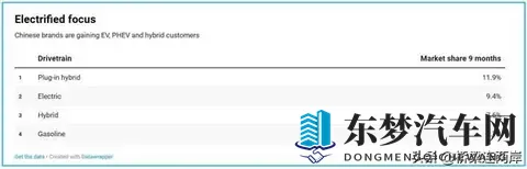 中国车欧洲斩获74%份额，为何德国市场仅29%？-2