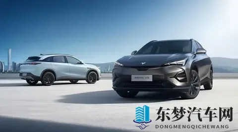 高速上的“老司机”？体验T5的自动变道超车！-3