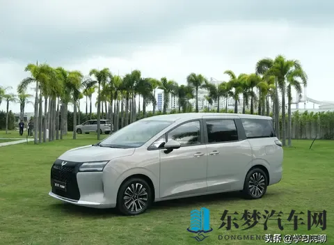 预算10万内可以闭眼入!双独悬 + 续航1100km,大7座MPV,768万起-3