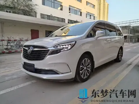 10万公里正当年，宜商宜家，18万多拿下21款别克GL8陆尊！-2