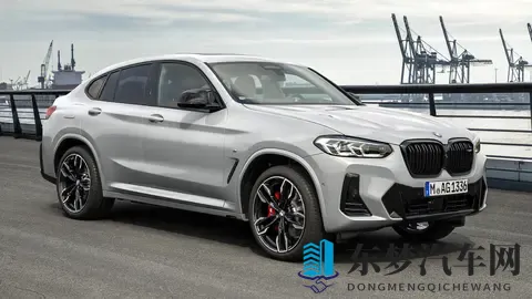 全新宝马 iX4 首图曝光-1