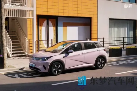 10万级，高阶智驾+冰箱，颜值还很高｜海豚如何选？