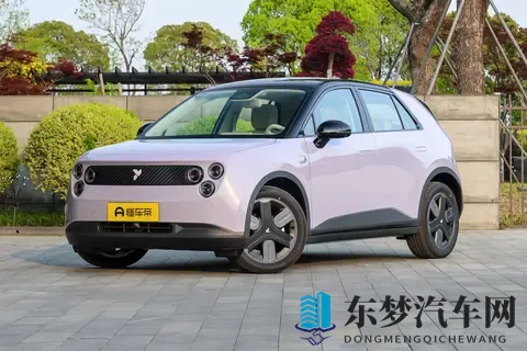 蔚来萤火虫新车型亮相：高功率电机升级，续航420公里-1